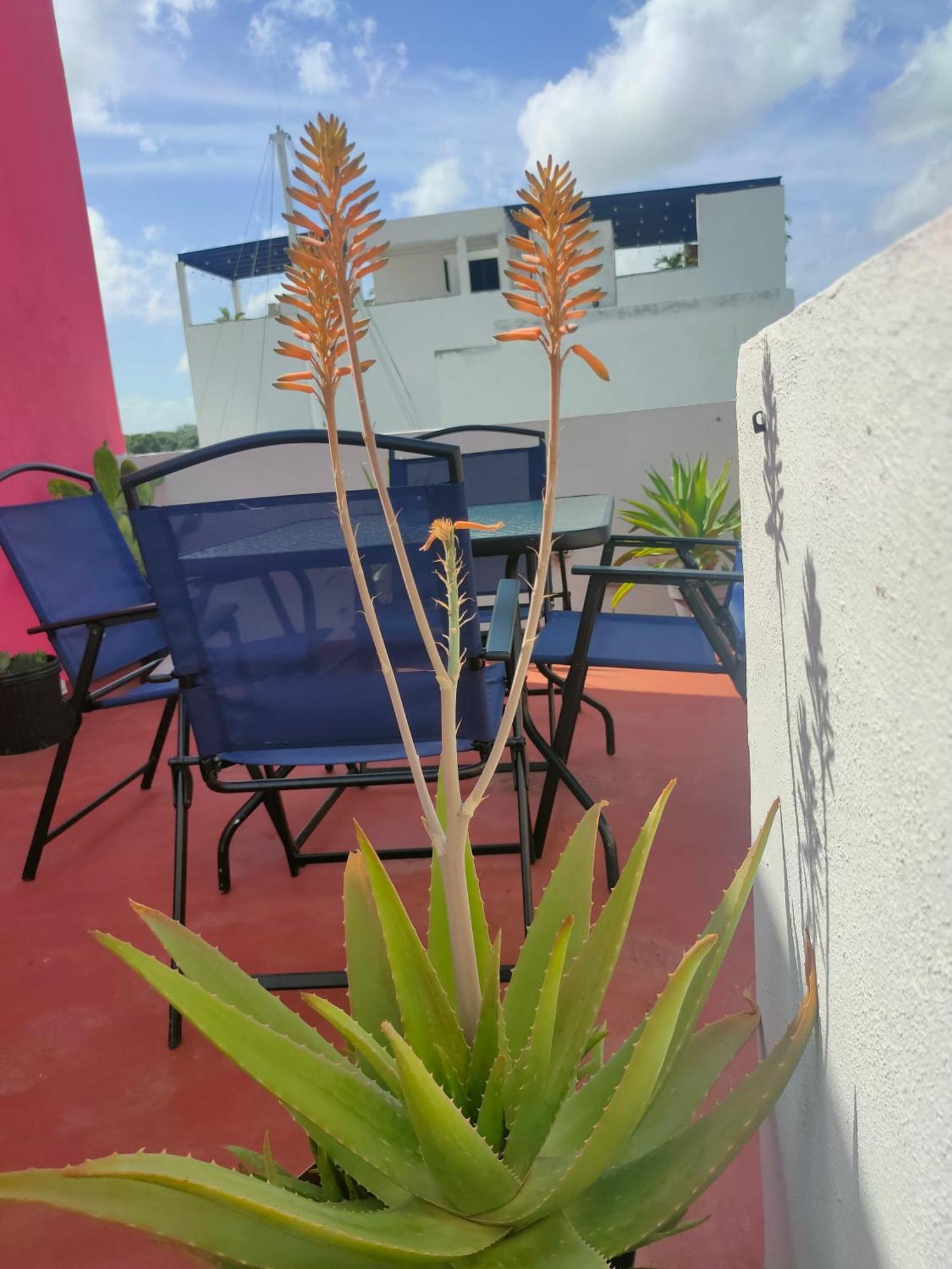 Ferienwohnung Casa Coraza Cancún Exterior foto